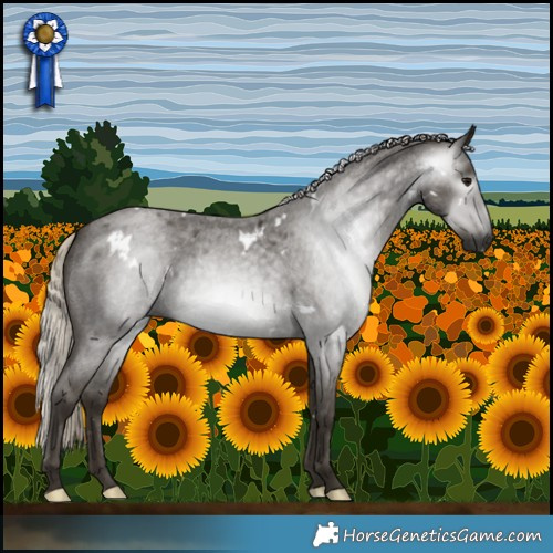 Horse Color:Gray White Spotted Silver Smoky Blue Roan 