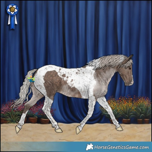 Horse Color:Silver Black Tobiano 