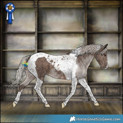 Horse Color:Silver Black Tobiano 