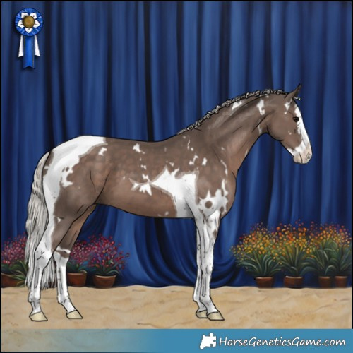 Horse Color:White Spotted Silver Black Splash Tobiano 