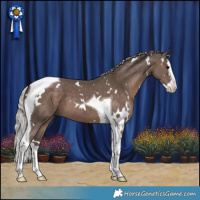 Horse Color:White Spotted Silver Black Splash Tobiano