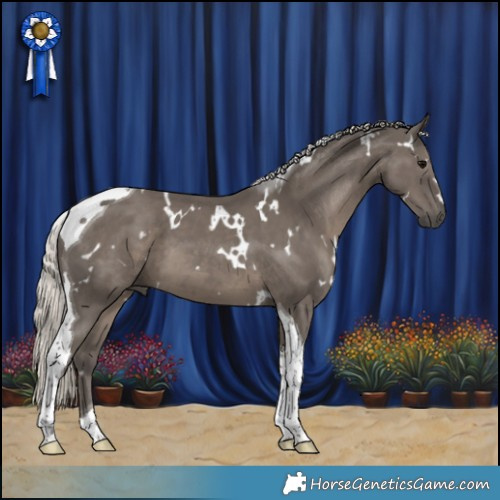 Horse Color:White Spotted Silver Black Tobiano 