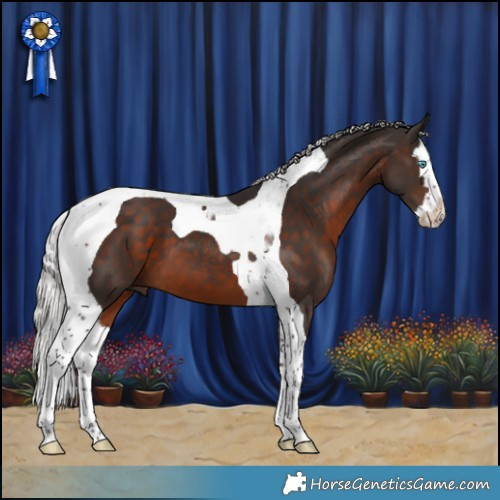 Horse Color:Silver Brown Splash Tobiano 