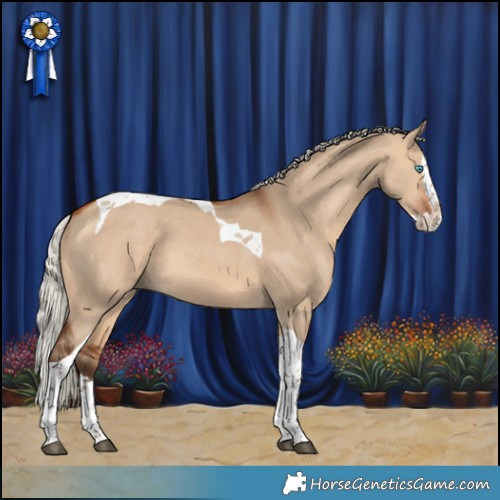 Horse Color:Silver Bay Dun Splash Tobiano 