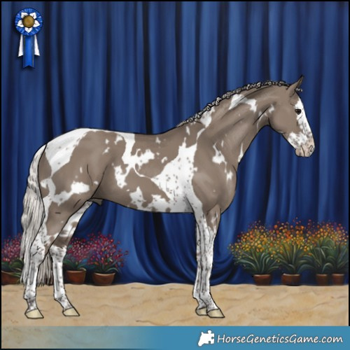 Horse Color:White Spotted Silver Grullo Splash Tobiano 