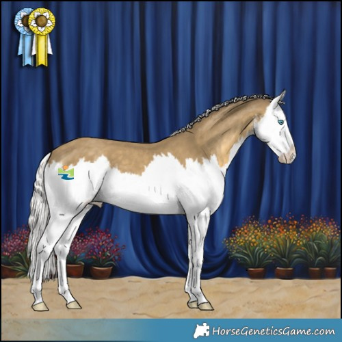 Horse Color:White Spotted Silver Classic Cream Champagne Splash 