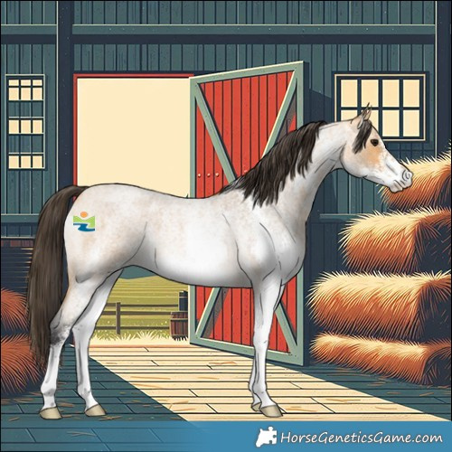 Horse Color:White Spotted Buckskin Roan Rabicano 