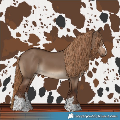 Horse Color:Liver Red Dun 