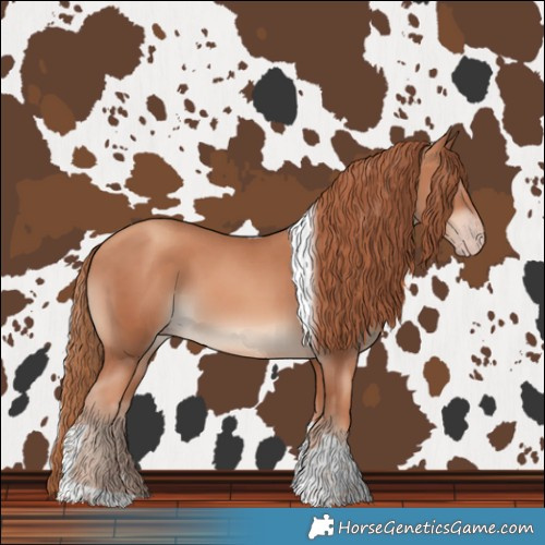 Horse Color:Gold Champagne Tobiano Rabicano 