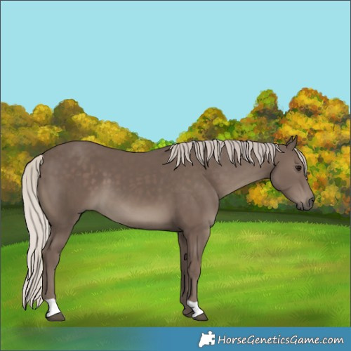 Horse Color:Silver Black 