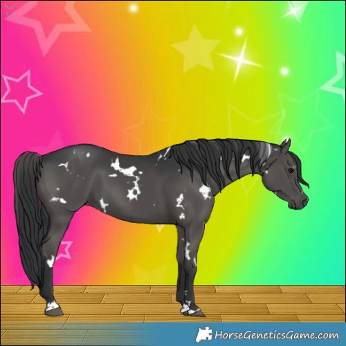 Horse Color:White Spotted Black 