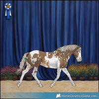 Horse Color:White Spotted Chocolate Palomino Splash Tobiano
