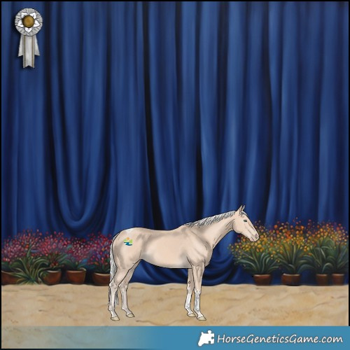 Horse Color:Silver Perlino Tobiano 
