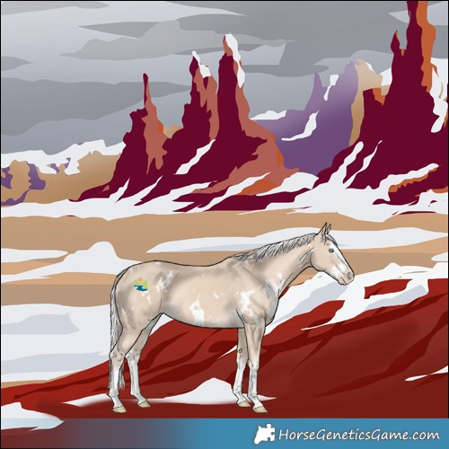 Horse Color:White Spotted Cremello Splash 