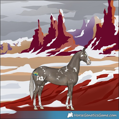 Horse Color:White Spotted Silver Smoky Black Sabino Splash 