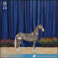 Horse Color:White Spotted Silver Smoky Black Sabino Splash 