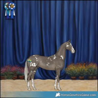 Horse Color:White Spotted Silver Smoky Black Sabino Splash