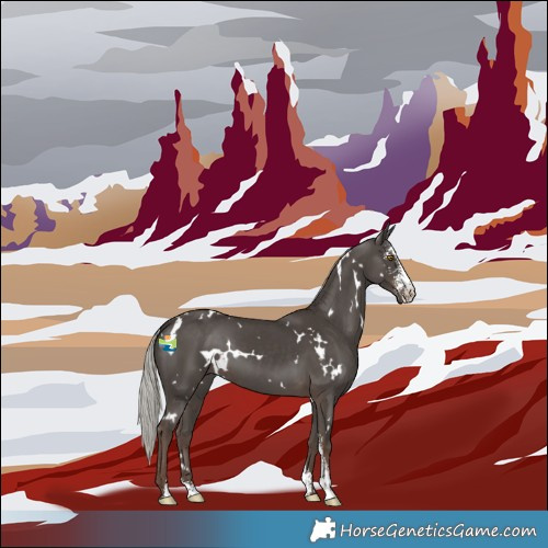 Horse Color:White Spotted Silver Black Sabino 