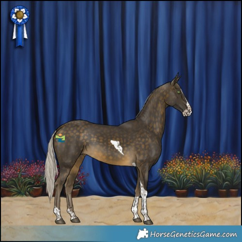 Horse Color:Silver Buckskin Splash Tobiano 