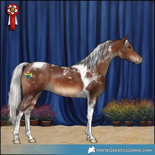 Horse Color:Silver Brown Tobiano 