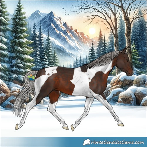 Horse Color:Silver Brown Tobiano 