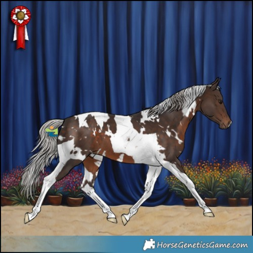 Horse Color:White Spotted Silver Brown Tobiano 