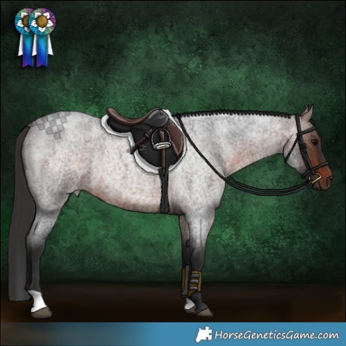 Horse Color:Brown Roan 