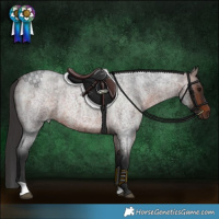 Horse Color:Brown Roan 