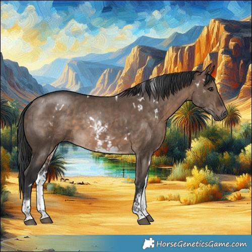 Horse Color:White Spotted Brown Dun Rabicano 