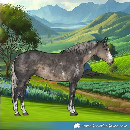 Horse Color:Silver Smoky Black Sabino 