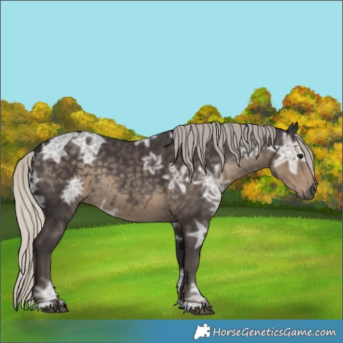 Horse Color:Silver Smoky Black Ice