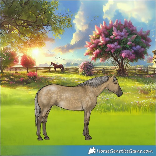 Horse Color:Silver Buckskin Dun Rabicano 