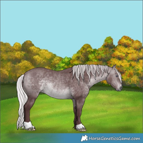 Horse Color:Chocolate Silver Brown Chinchilla