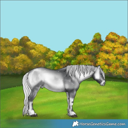 Horse Color:Silver Brown Chinchilla Onyx 