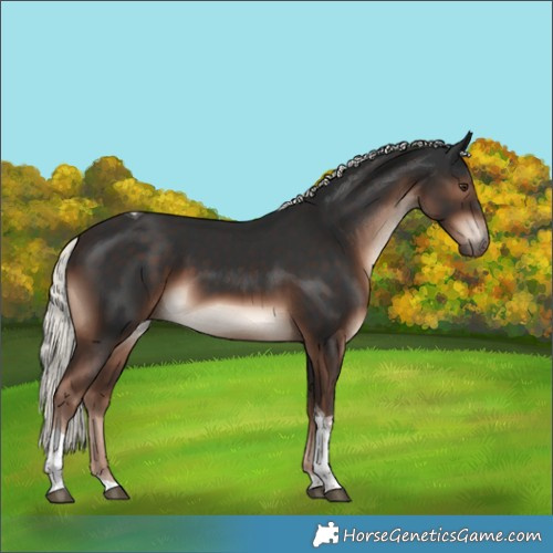 Horse Color:Liver Chestnut Mushroom Tobiano