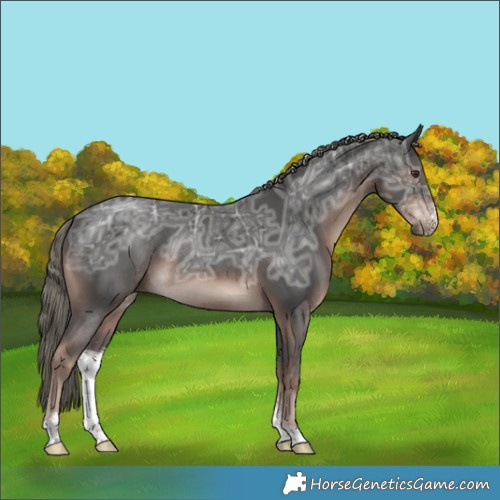 Horse Color:Liver Chestnut Ice Mushroom Sabino Rabicano