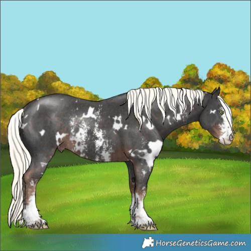 Horse Color:White Spotted Liver Chestnut Mushroom Sabino Rabicano 