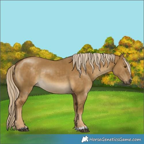 Horse Color:Chocolate Palomino Dun Mushroom Rabicano 