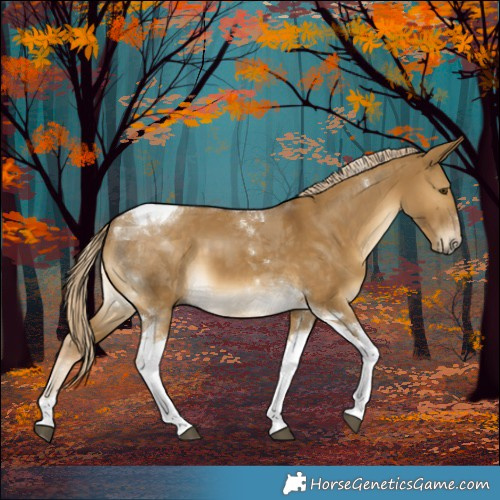 Horse Color:Chocolate Palomino Dun Mushroom Tobiano 