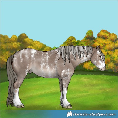 Horse Color:Powder White Liver Red Dun Mushroom Sabino 