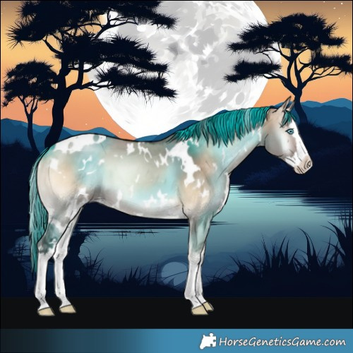 Horse Color:White Spotted Brown Onyx Splash 