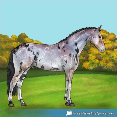 Horse Color:Void White Spotted Bay Ice Onyx 
