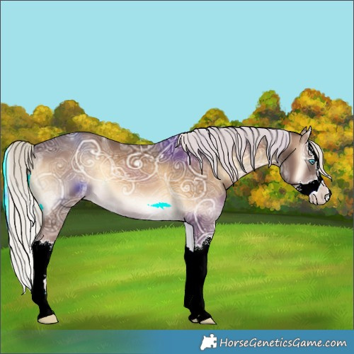 Horse Color:Chocolate Palomino Ice Onyx Splash 