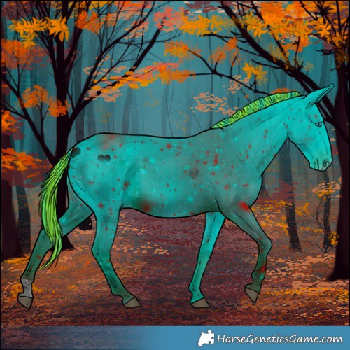 Horse Color:ERROR: UNKNOWN ANOMALY