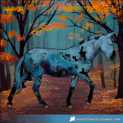 Horse Color:ERROR: UNKNOWN ANOMALY