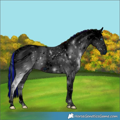 Horse Color:ERROR: UNKNOWN ANOMALY