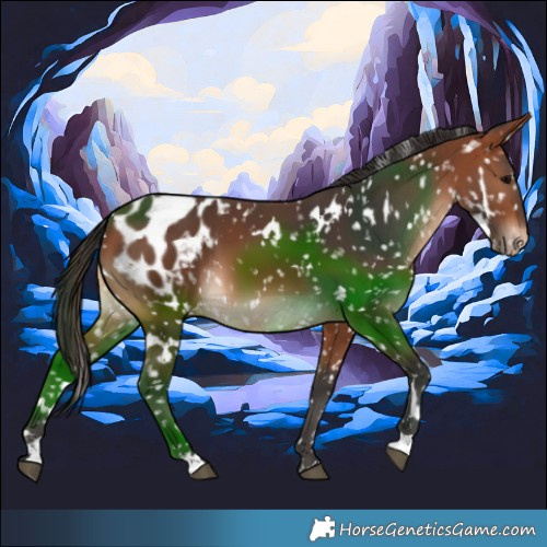 Horse Color:White Spotted Bay Snowflake Varnish 