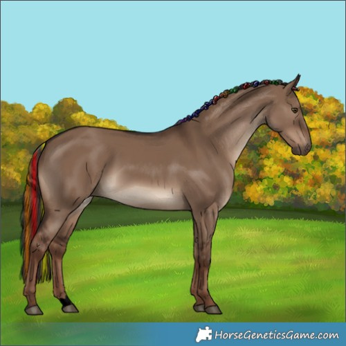 Horse Color:Void Painted Liver Red Dun 