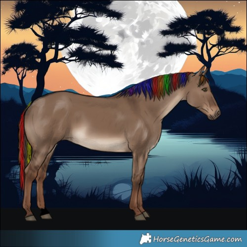 Horse Color:Void Painted Liver Red Dun 