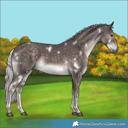 Horse Color:Platinum White Spotted Chocolate Palomino